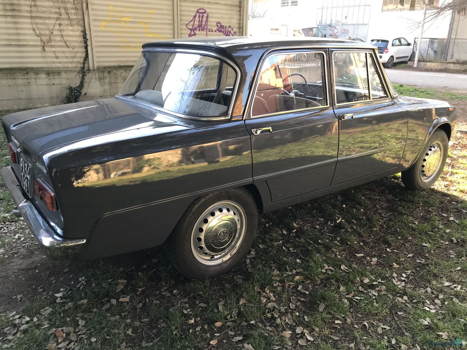 1964' Alfa Romeo Giulia photo #5