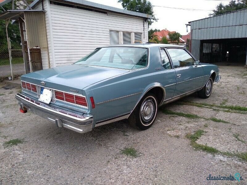 1979' Chevrolet Caprice photo #2
