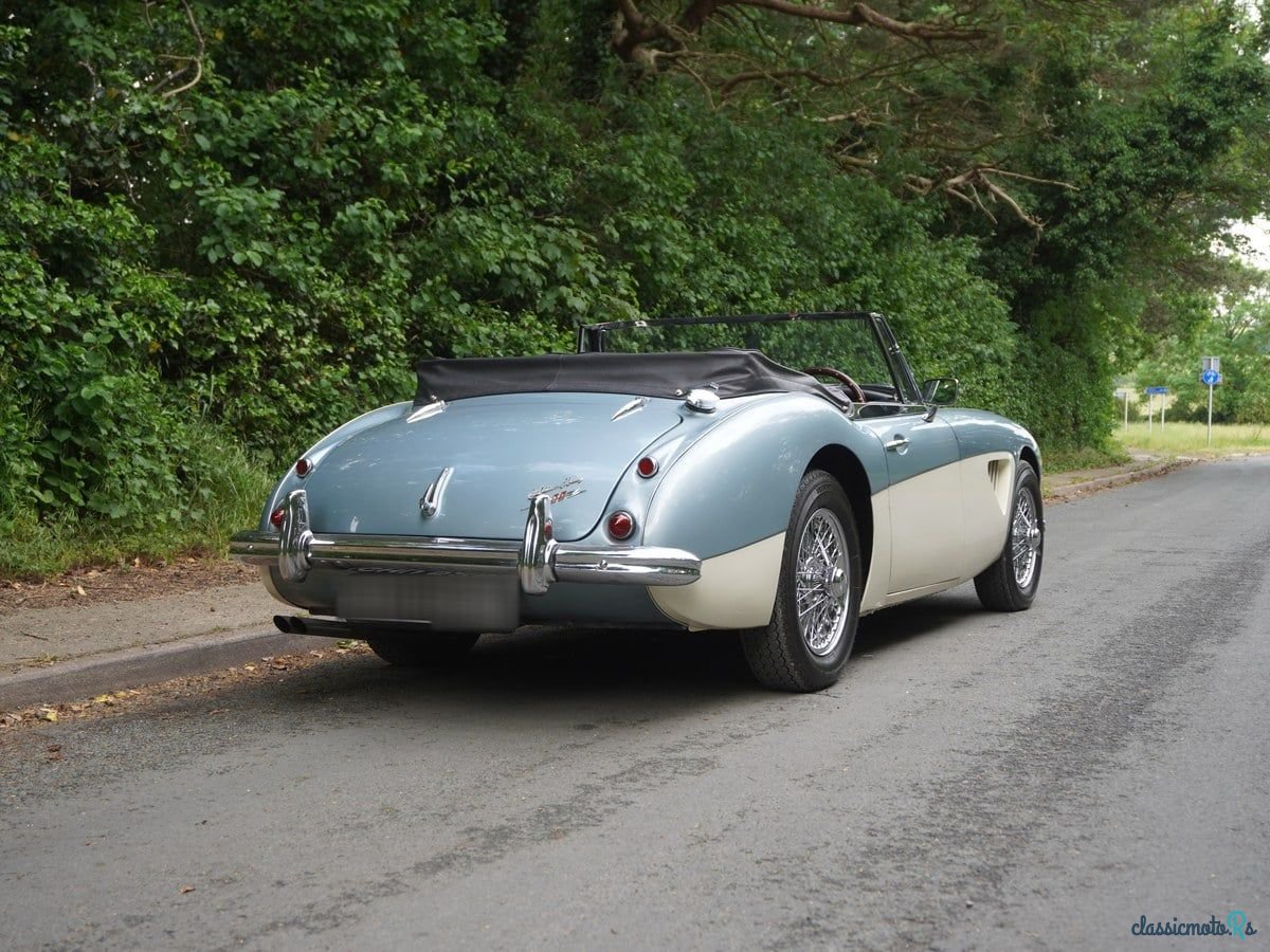 1964' Austin-Healey 3000 photo #6