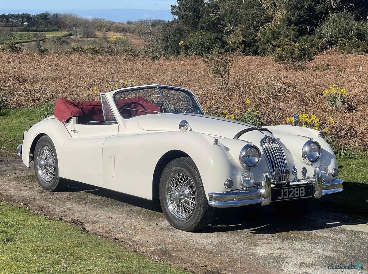 1955' Jaguar Xk140 photo #5