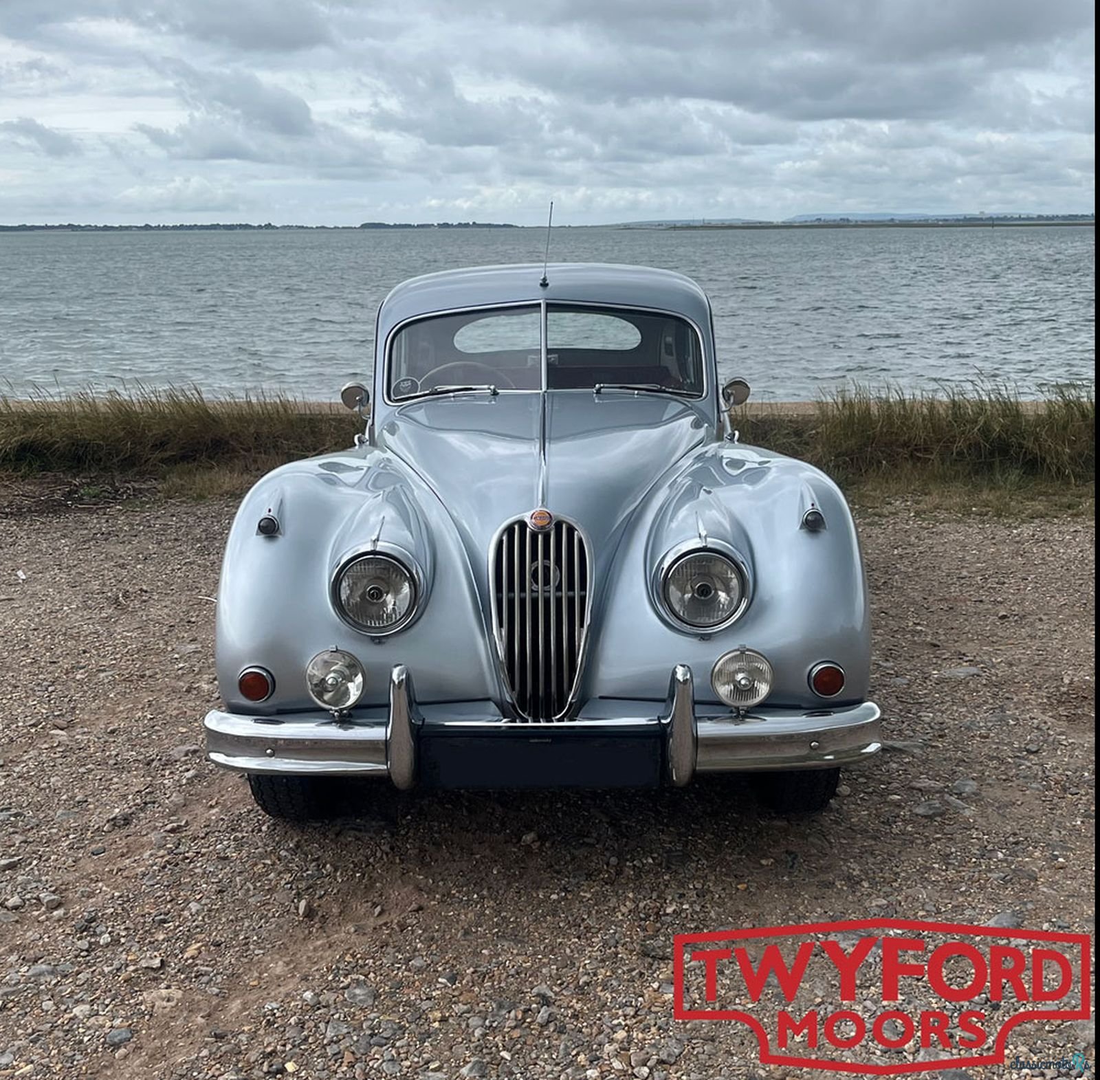 1956' Jaguar XK photo #1