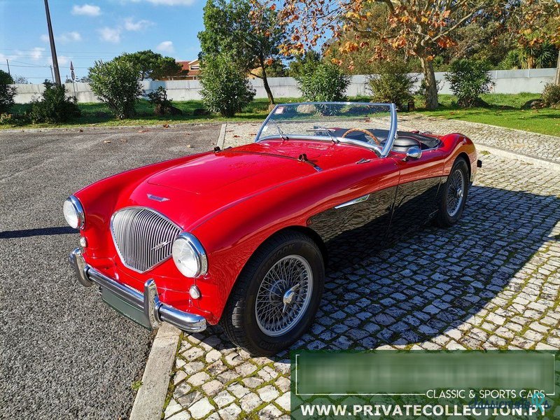 1955' Austin-Healey 100 photo #3