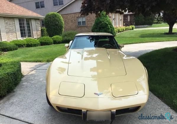 1977' Chevrolet Corvette photo #2