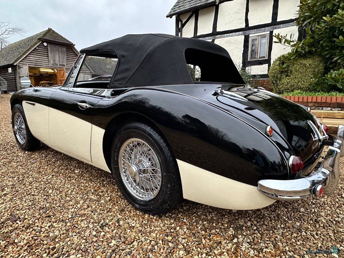 1964' Austin-Healey 3000 photo #2