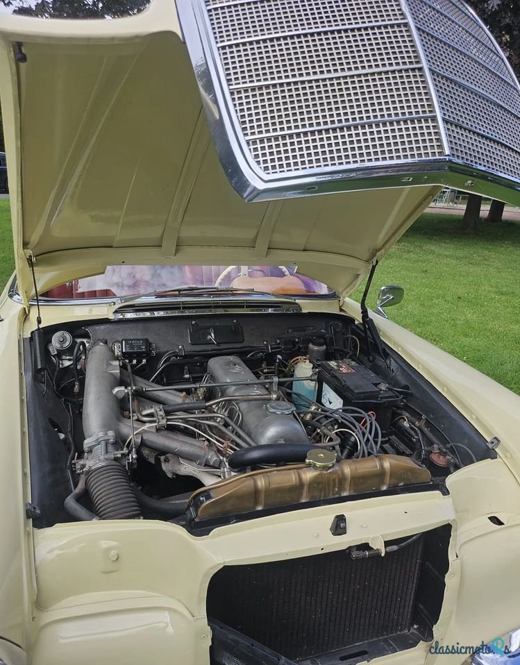 1961' Mercedes-Benz W111 photo #4