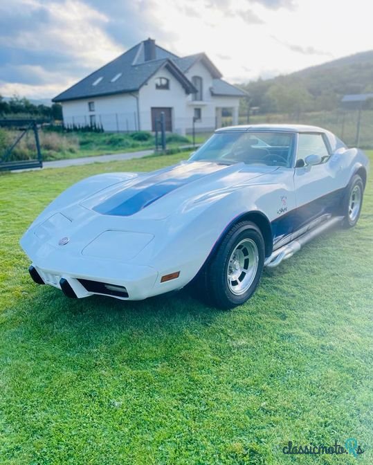 1976' Chevrolet Corvette photo #1