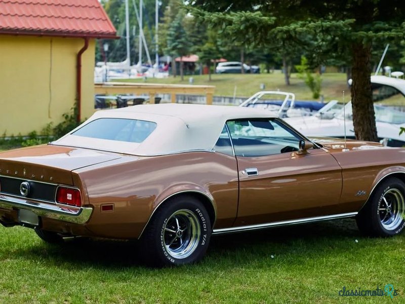 1971' Ford Mustang photo #2