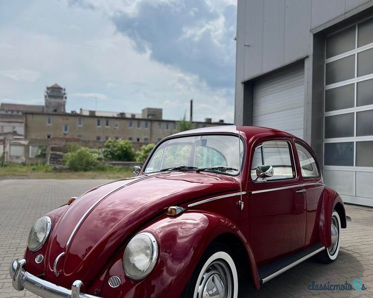 1965' Volkswagen Garbus photo #3