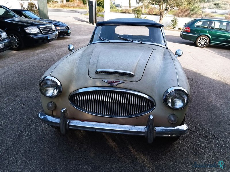 1963' Austin-Healey 3000 photo #4