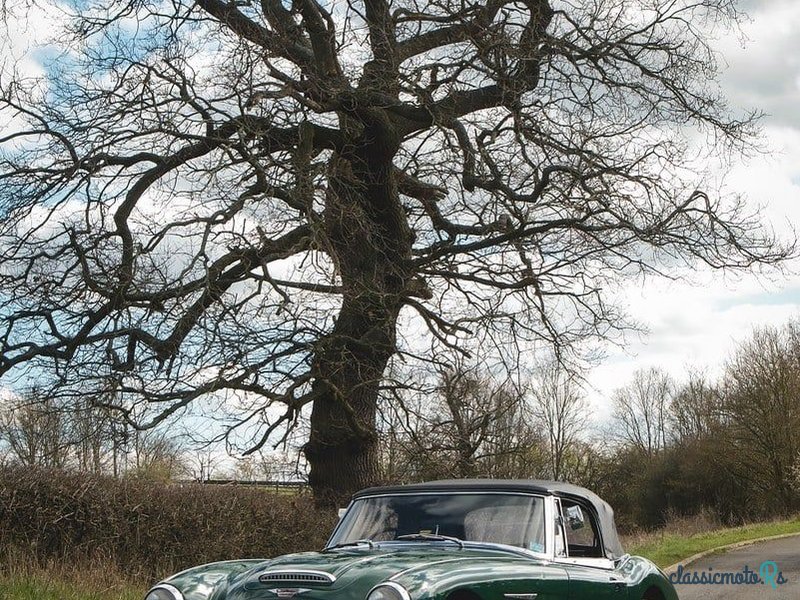 1966' Austin-Healey 3000 photo #4