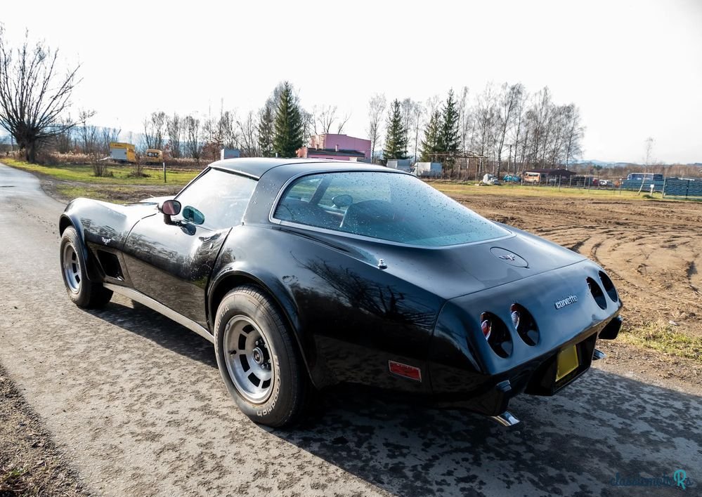 1979' Chevrolet Corvette photo #4