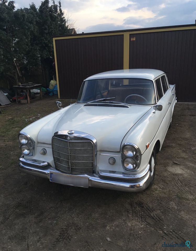 1966' Mercedes-Benz W111 photo #1