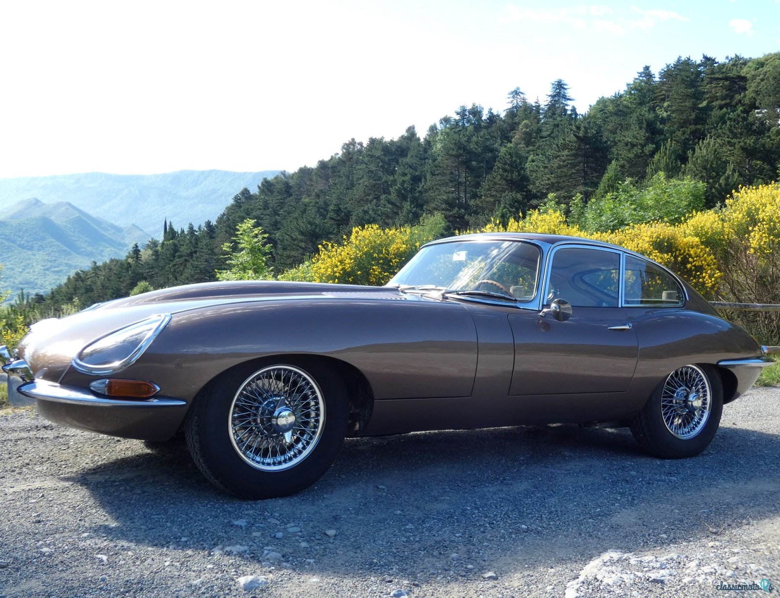 1961' Jaguar E-Type photo #1