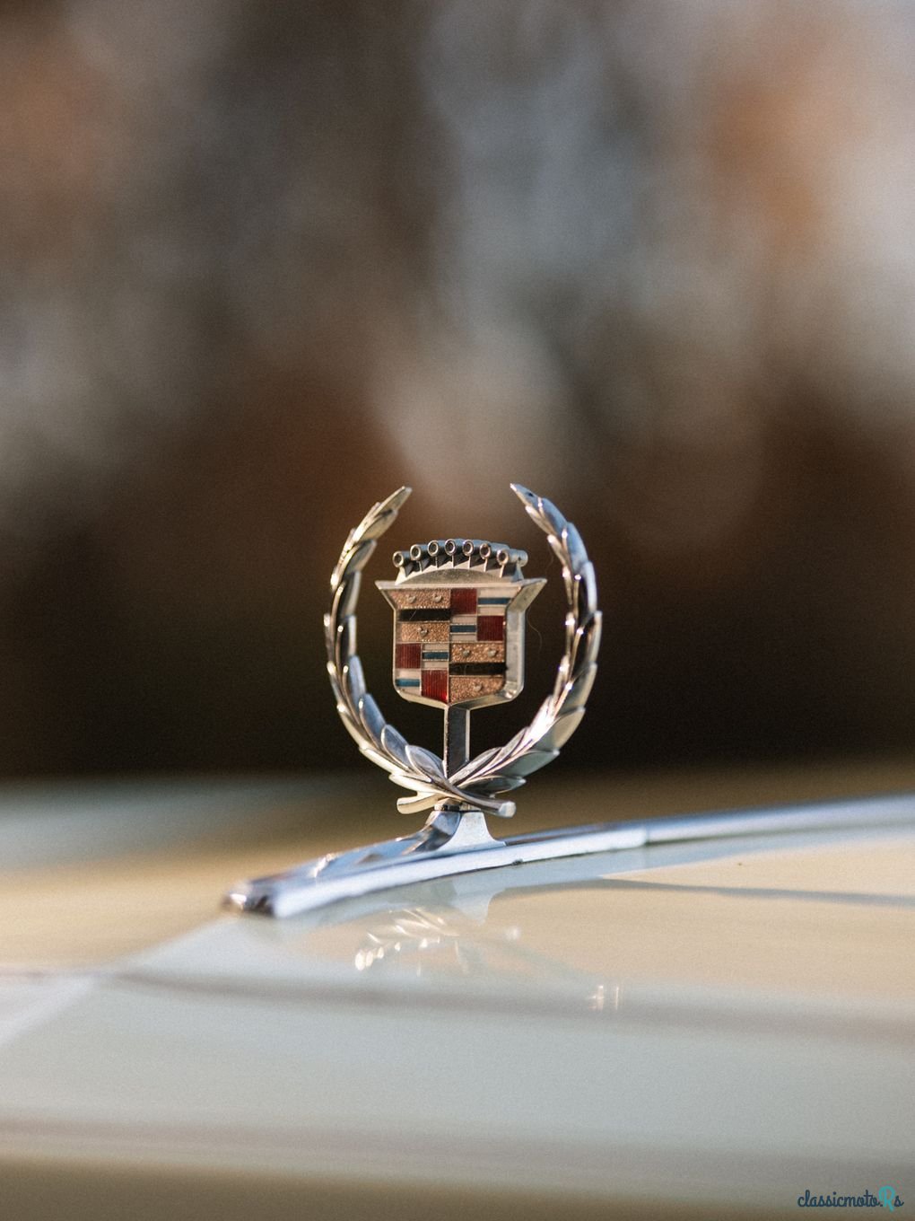 1976' Cadillac Eldorado photo #6