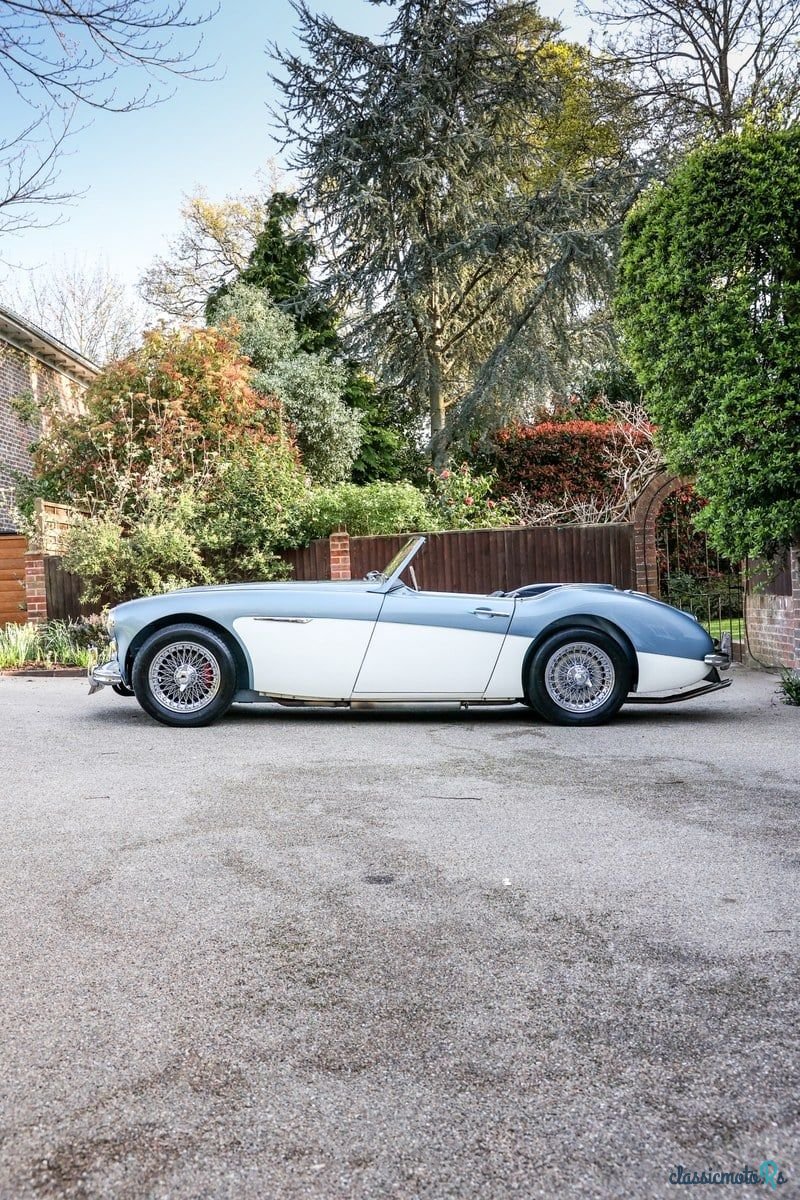 1960' Austin-Healey 3000 photo #4