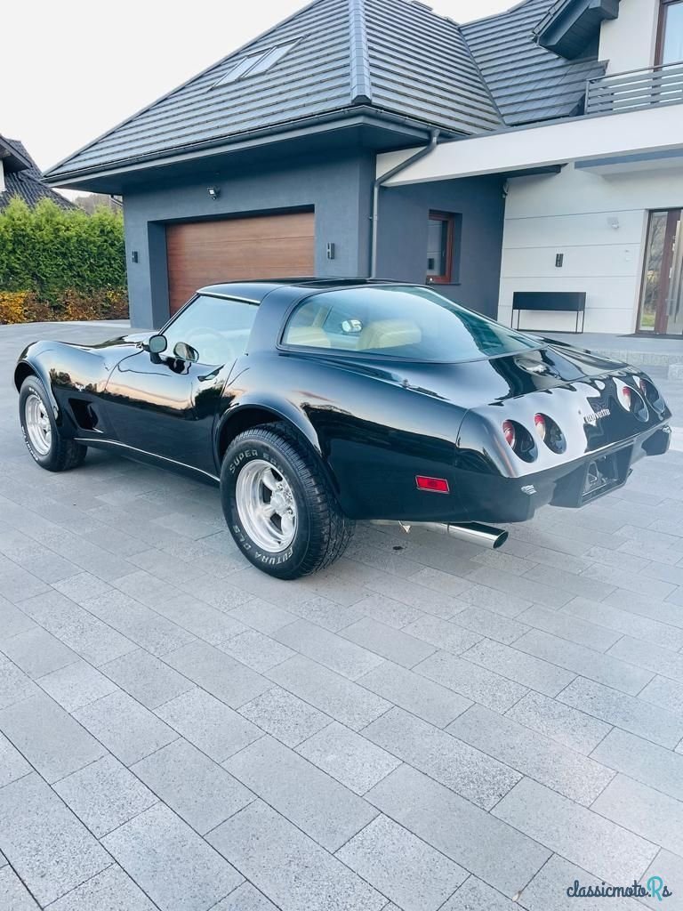 1979' Chevrolet Corvette photo #3