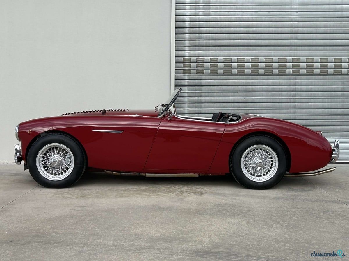 1954' Austin-Healey 100 photo #3