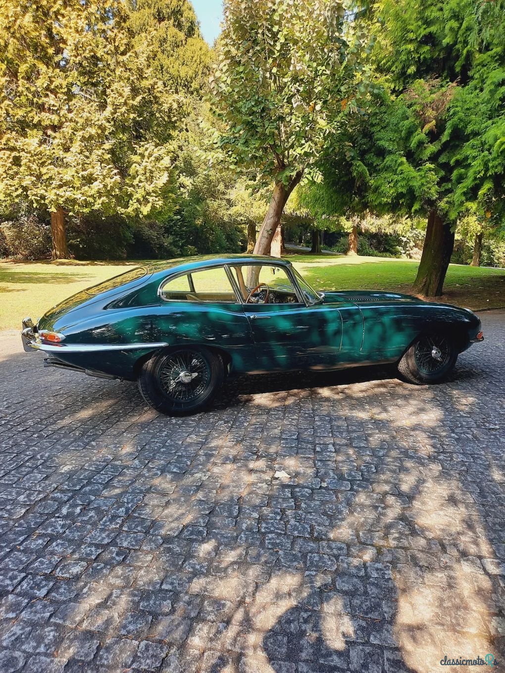 1964' Jaguar E-Type photo #6