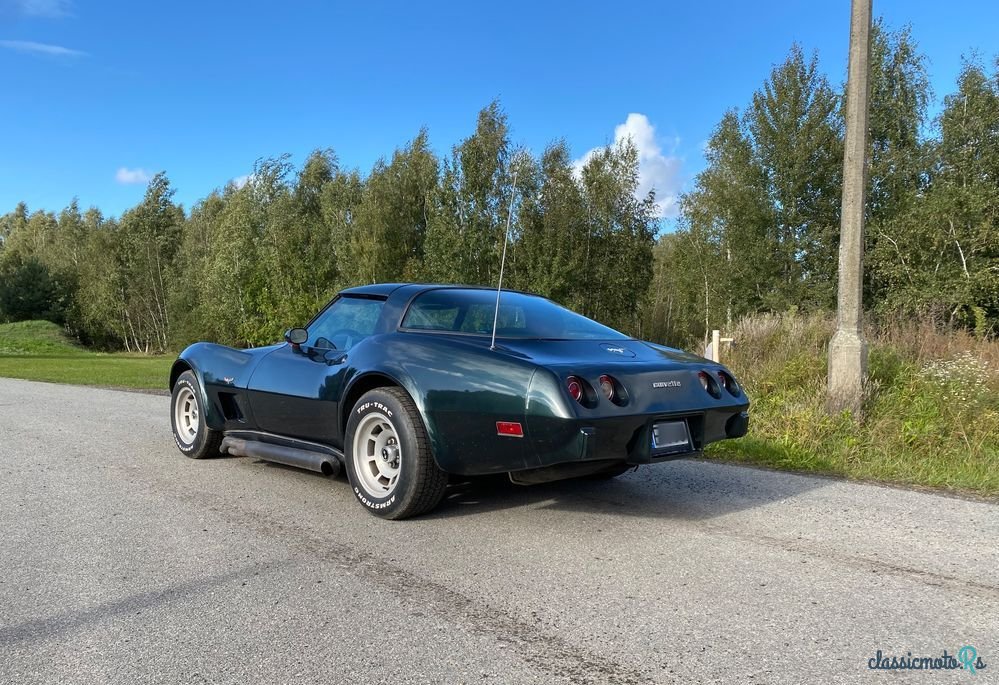 1979' Chevrolet Corvette photo #3