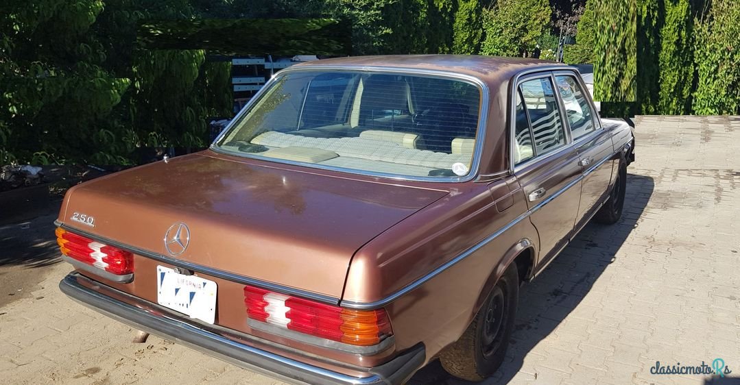 1976' Mercedes-Benz W123 photo #3