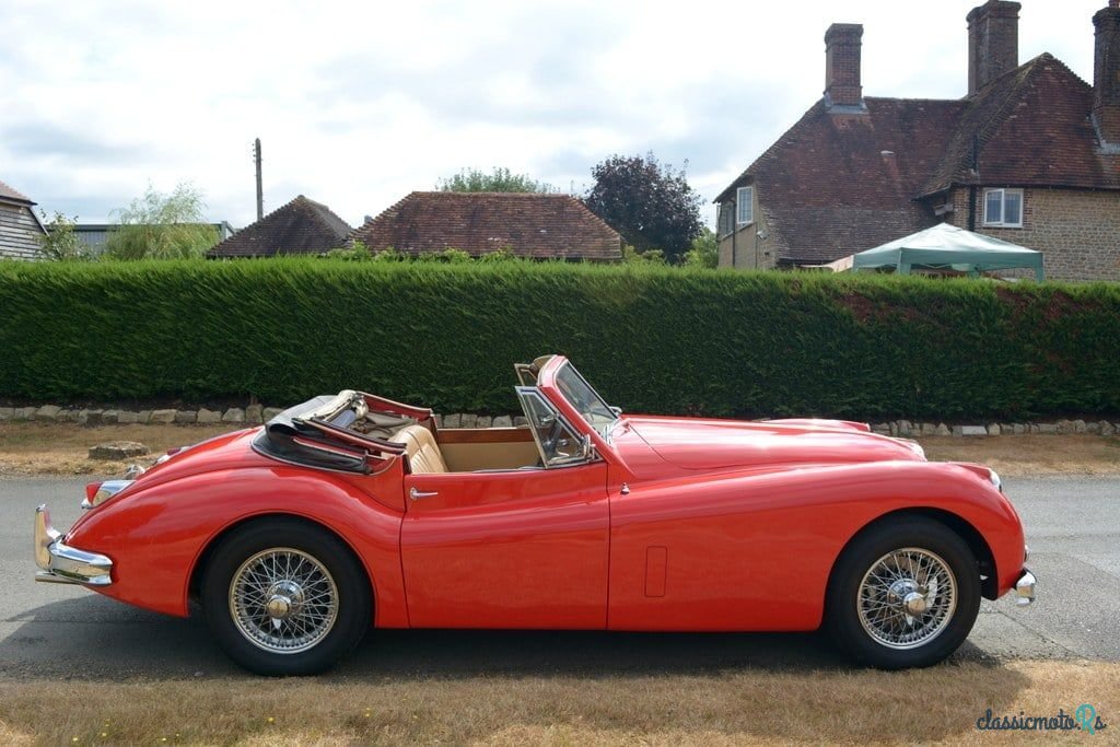 1955' Jaguar Xk140 photo #5