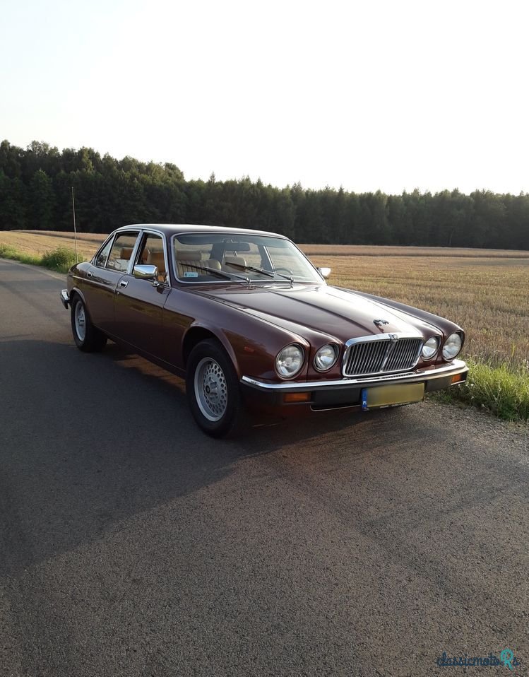 1980' Jaguar XJ photo #2