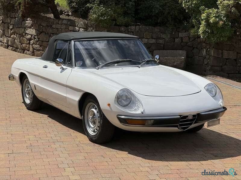 1972' Alfa Romeo Spider photo #5