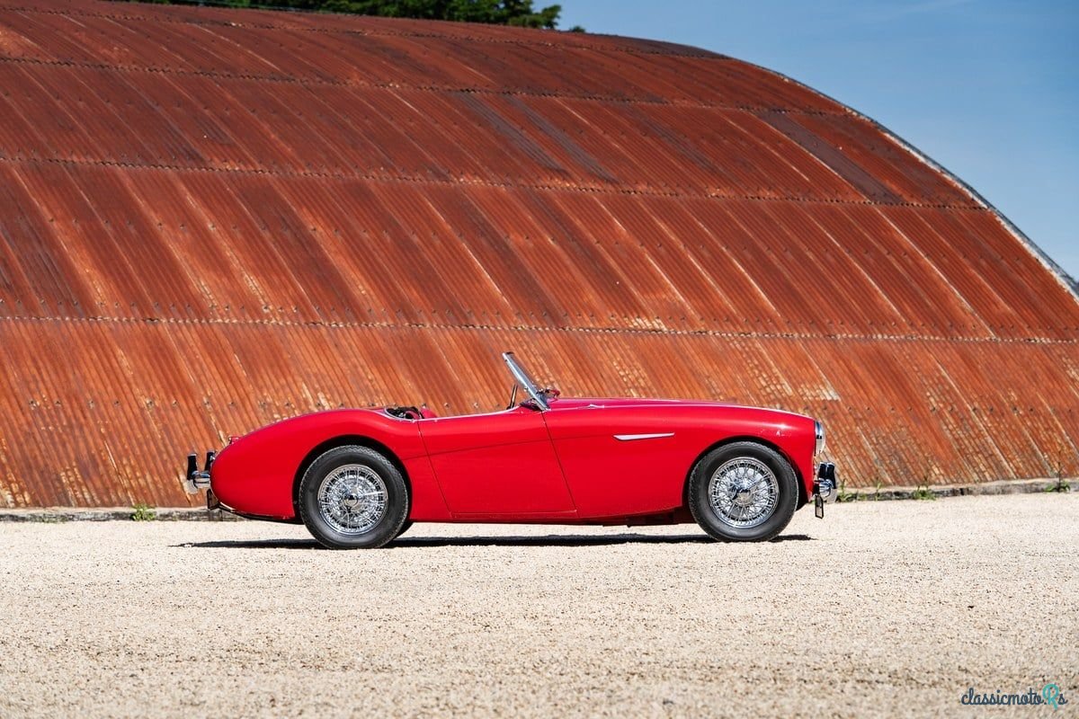 1955' Austin-Healey 100/4 photo #5