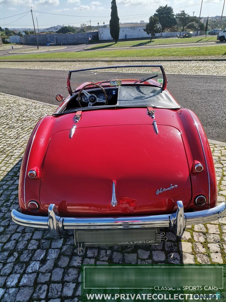 1955' Austin-Healey 100 photo #5