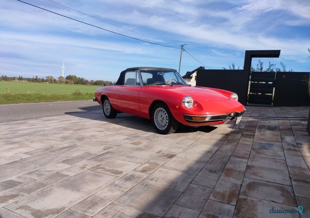 1973' Alfa Romeo Spider 2.0 photo #4