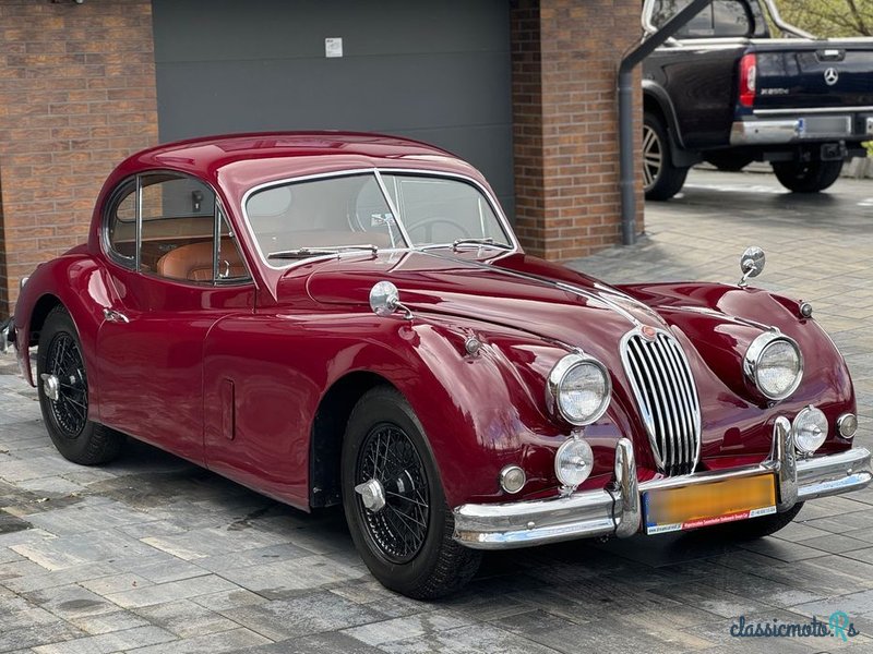 1955' Jaguar XK photo #3