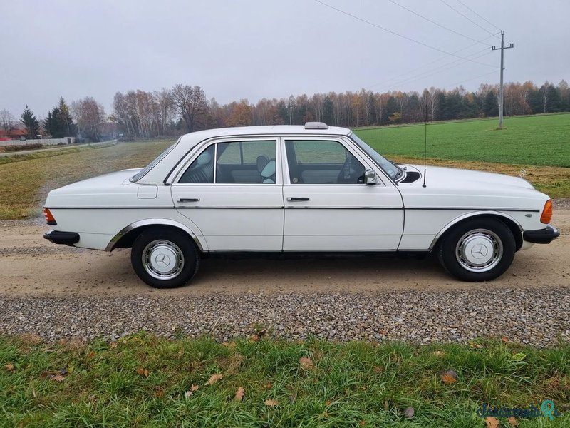 1979' Mercedes-Benz W123 photo #4