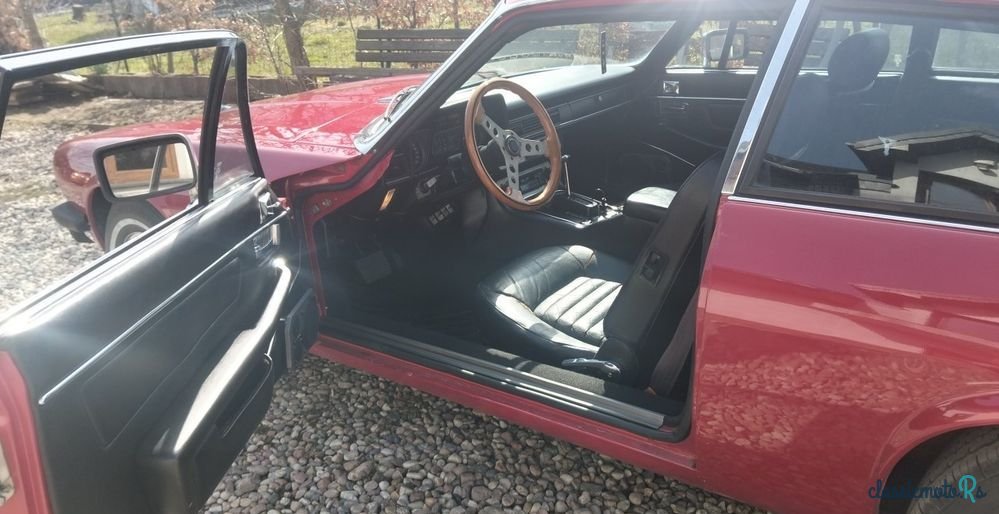 1977' Jaguar XJS photo #5
