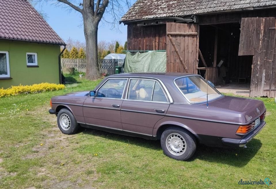 1978' Mercedes-Benz W123 photo #6