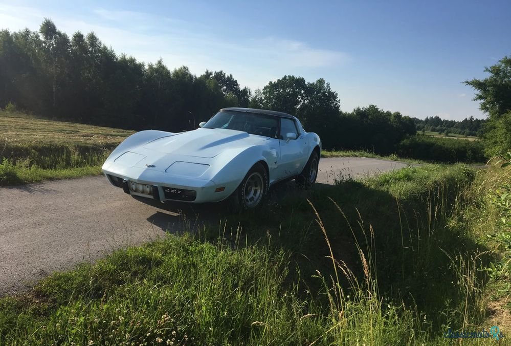 1978' Chevrolet Corvette photo #4