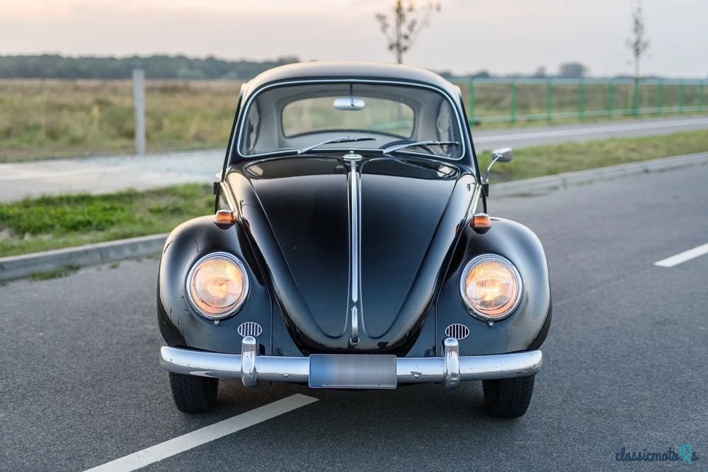 1966' Volkswagen Garbus photo #6