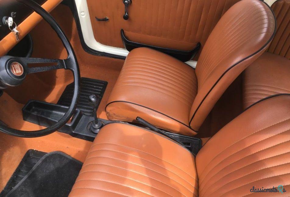 1969' Fiat 500L photo #3