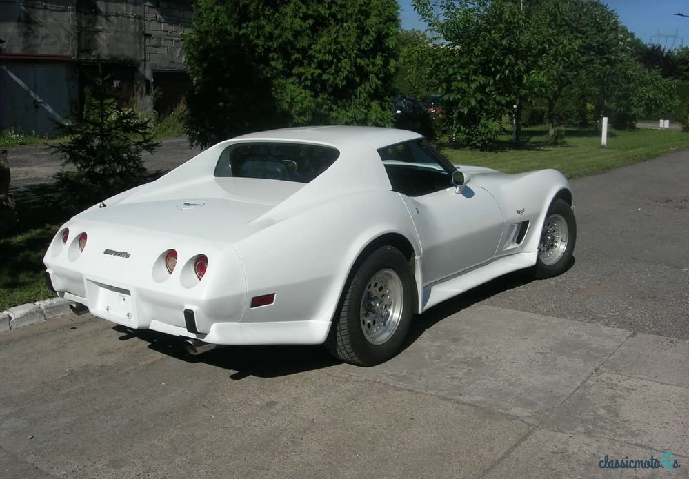 1977' Chevrolet Corvette photo #1