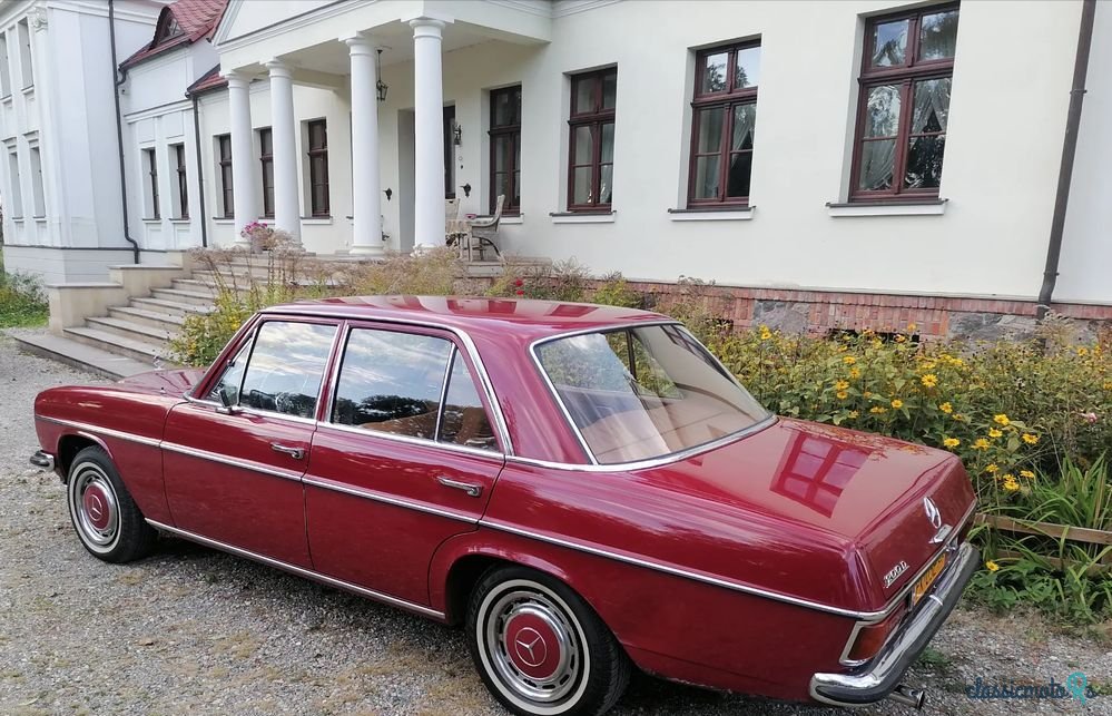 1968' Mercedes-Benz W115s photo #2