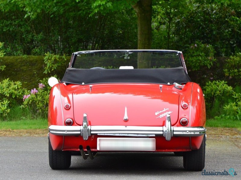 1962' Austin-Healey 3000 photo #3