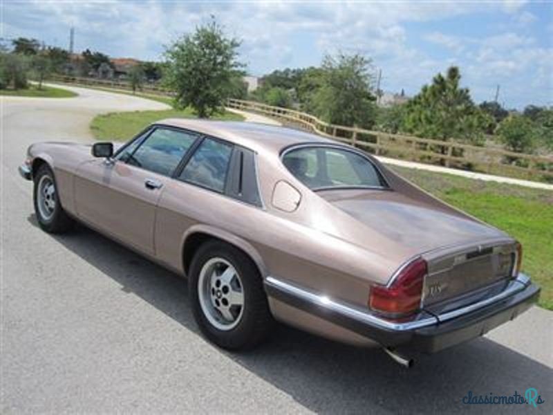 1983' Jaguar XJS photo #2