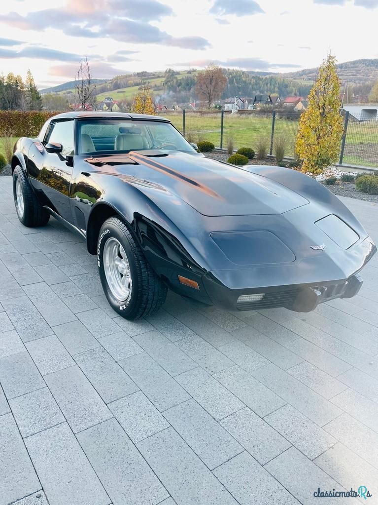1979' Chevrolet Corvette photo #6