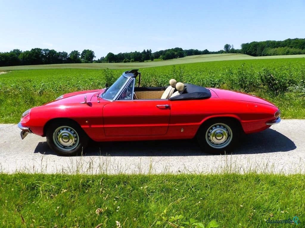 1966' Alfa Romeo Spider (Duetto) photo #3