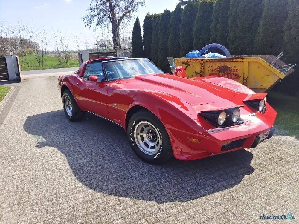 1979' Chevrolet Corvette photo #2