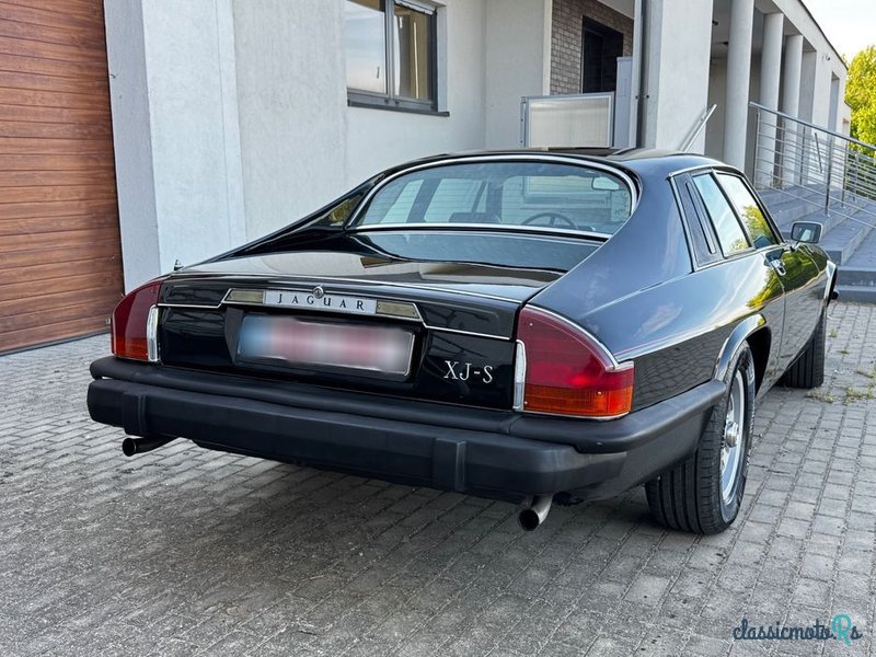 1976' Jaguar XJS photo #6