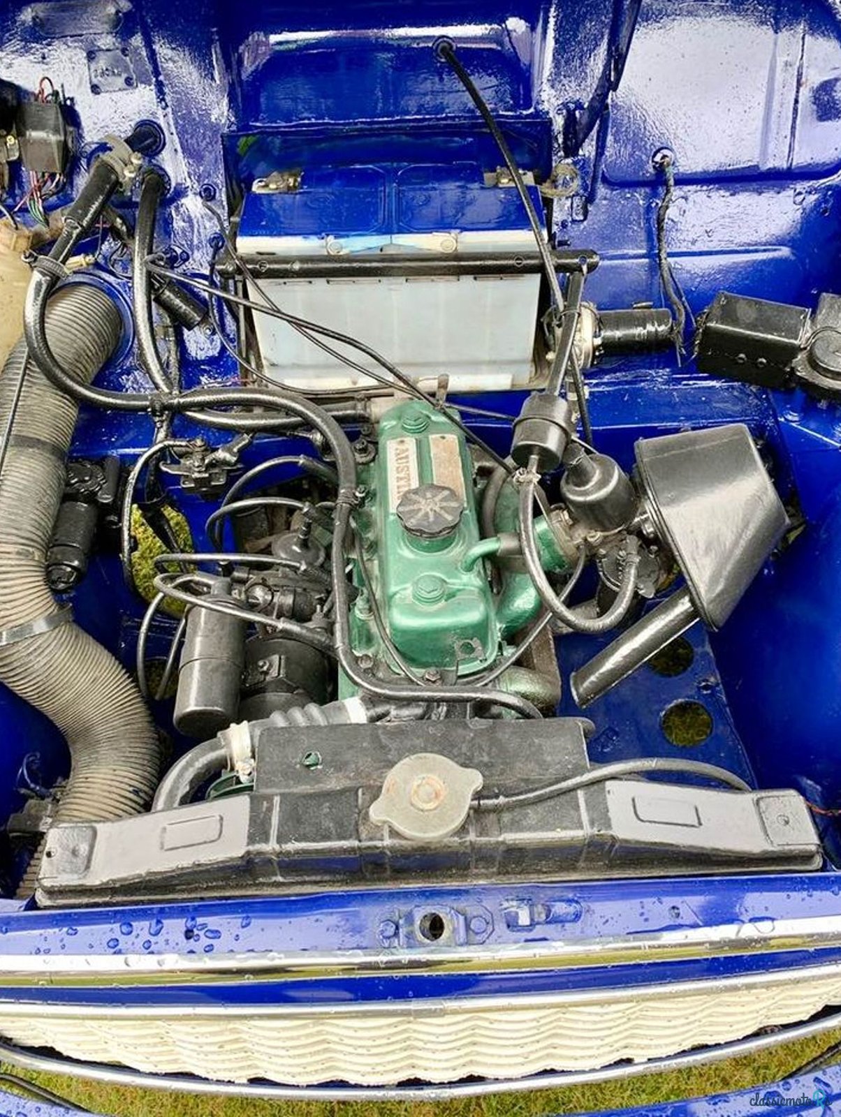 1971' Morris Austin 1000 Van photo #5