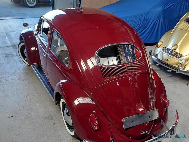 1955' Volkswagen Garbus photo #3