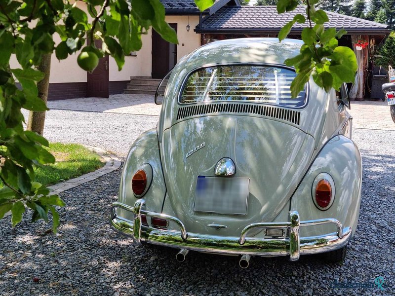 1966' Volkswagen Garbus photo #3