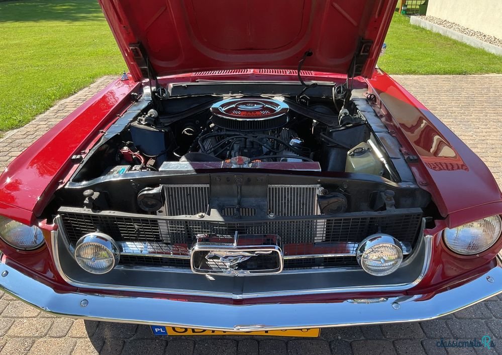 1967' Ford Mustang photo #4