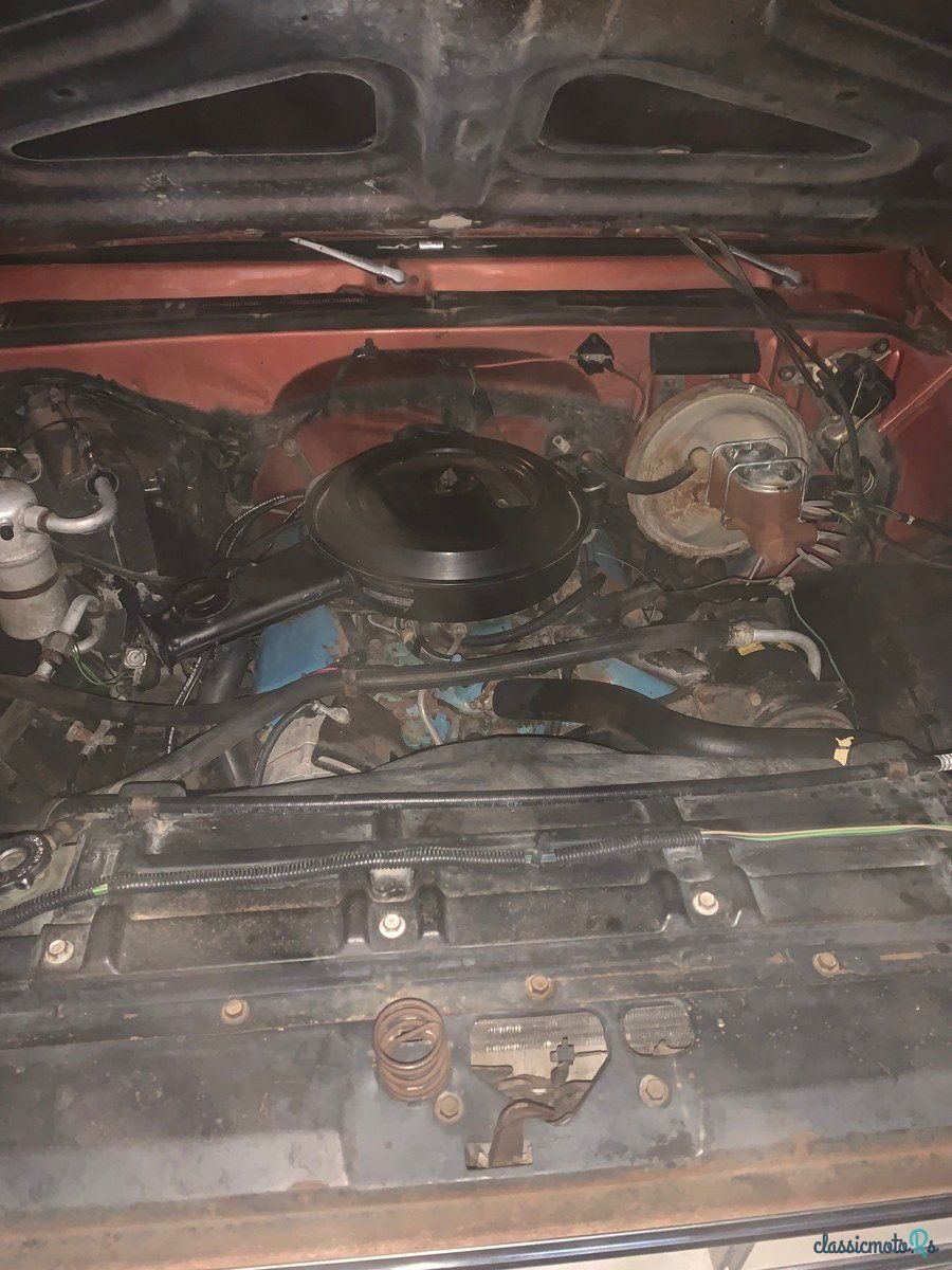 1978' Chevrolet Bonanza photo #4